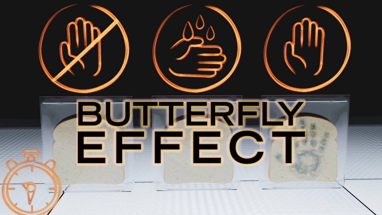 Butterfly Effect
