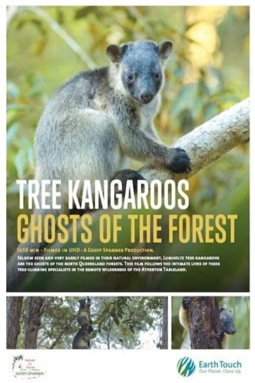 Tree Kangaroos: Ghosts of the Forest