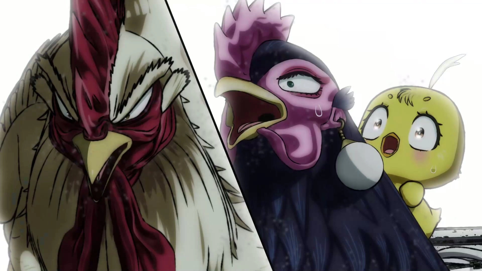 Rooster Fighter