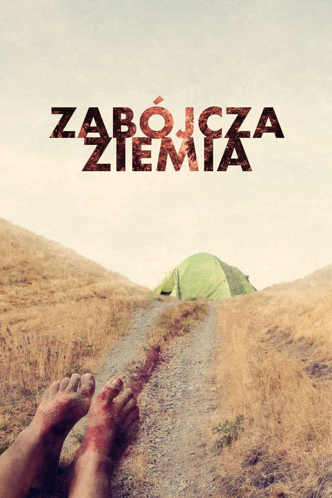 Blein Raz