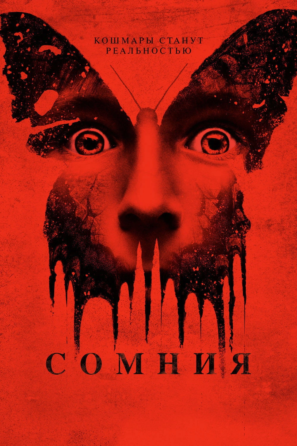 Before I Wake
