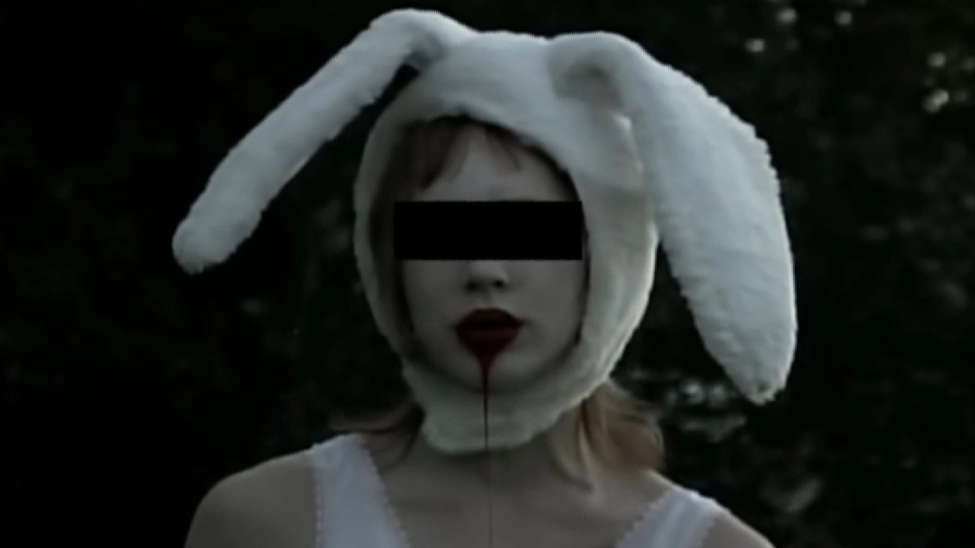 Redacted - The Untold Story of Bun Bun