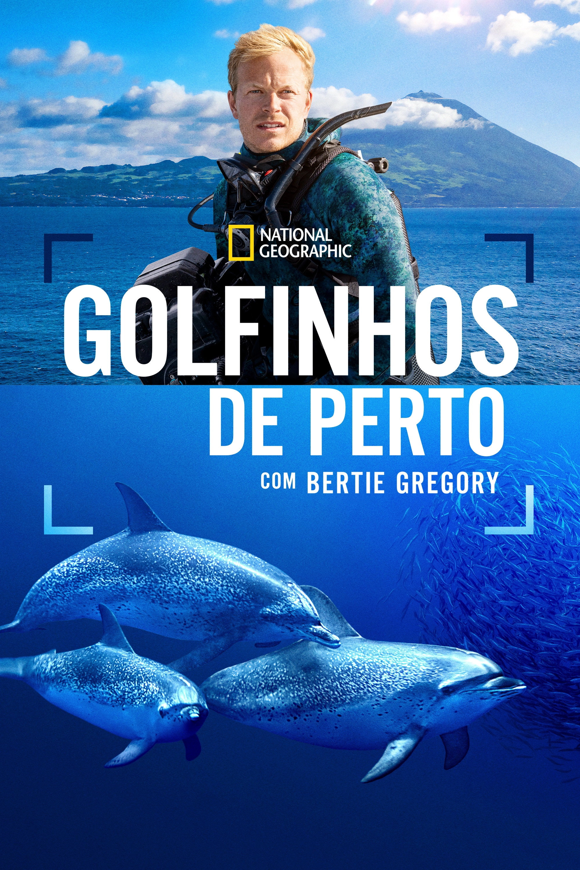 Dolphins Up Close with Bertie Gregory