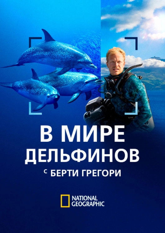 Dolphins Up Close with Bertie Gregory
