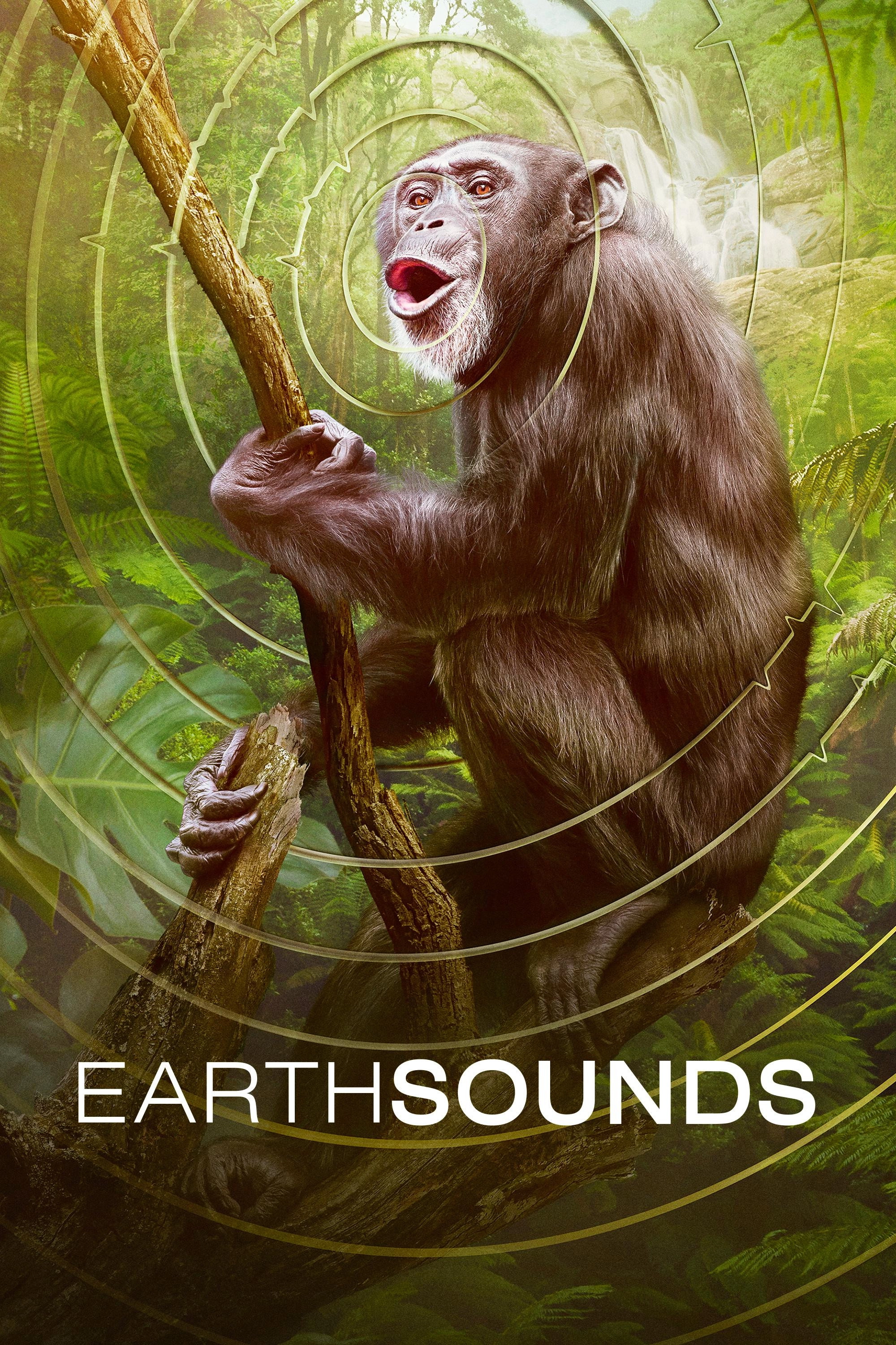 Earthsounds