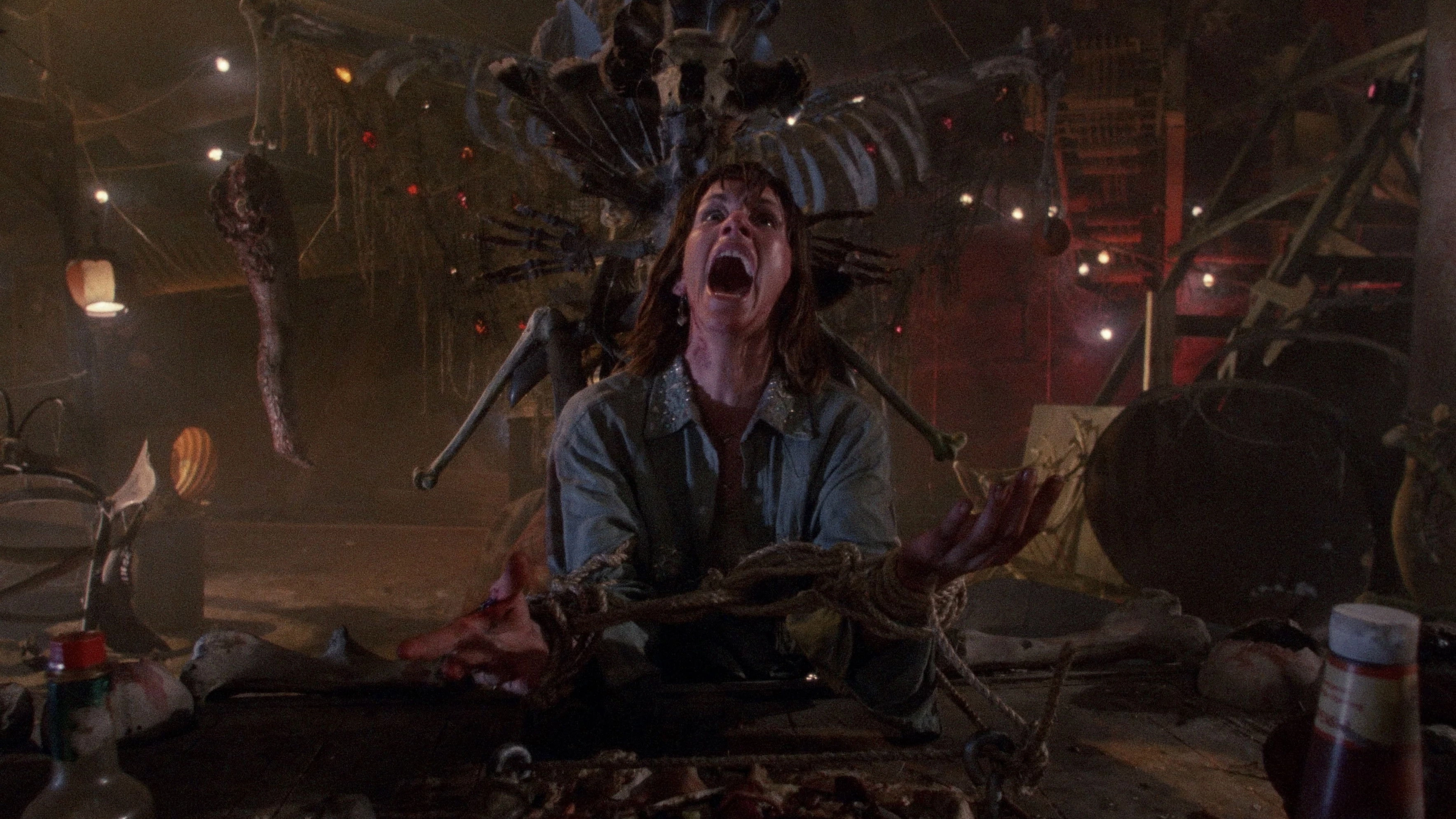 The Texas Chainsaw Massacre 2