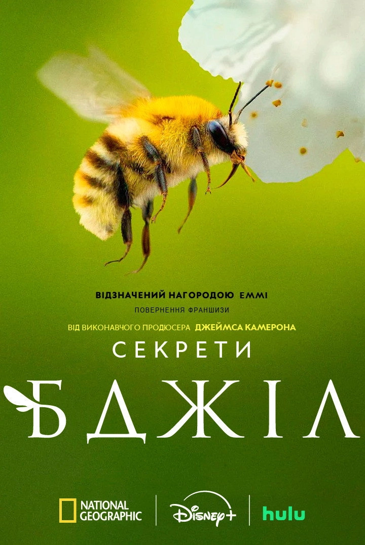 Secrets of the Bees