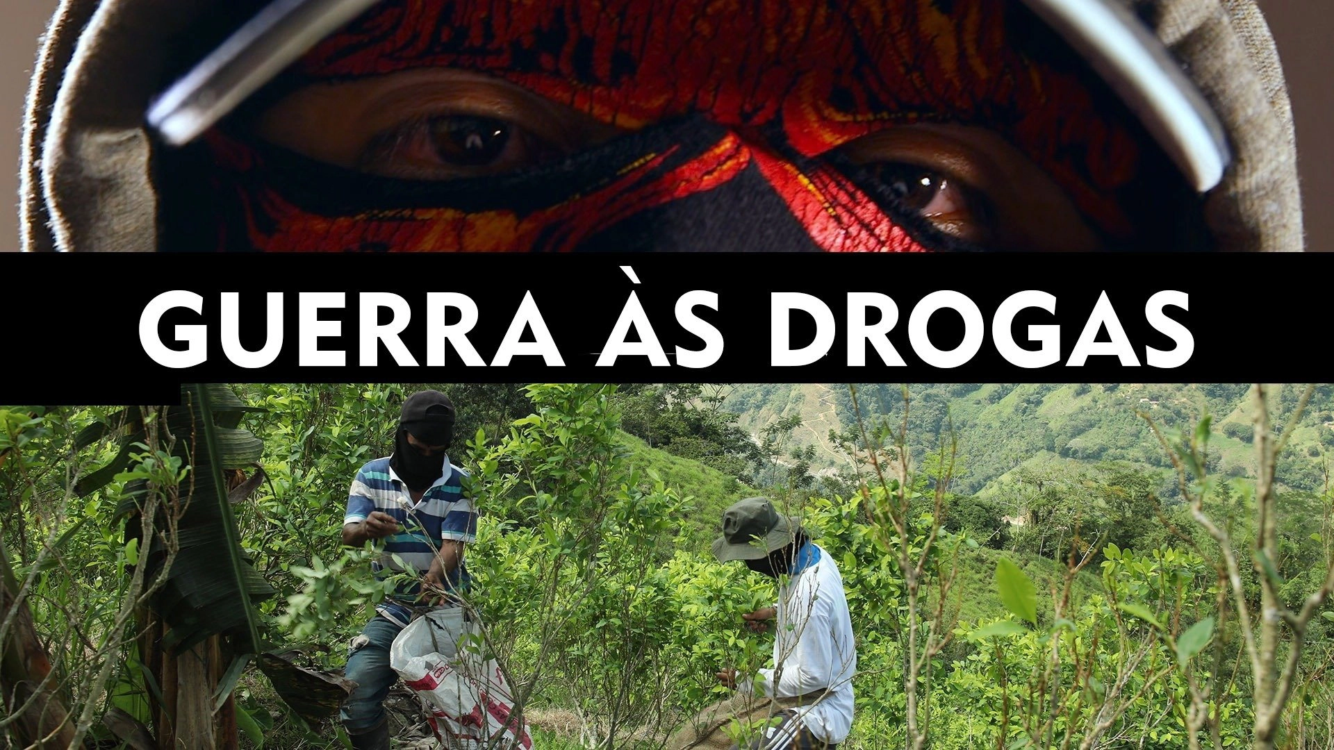 Narco Wars