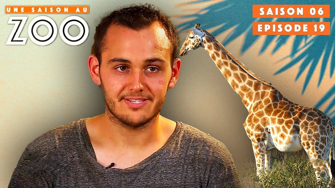 Une saison au zoo