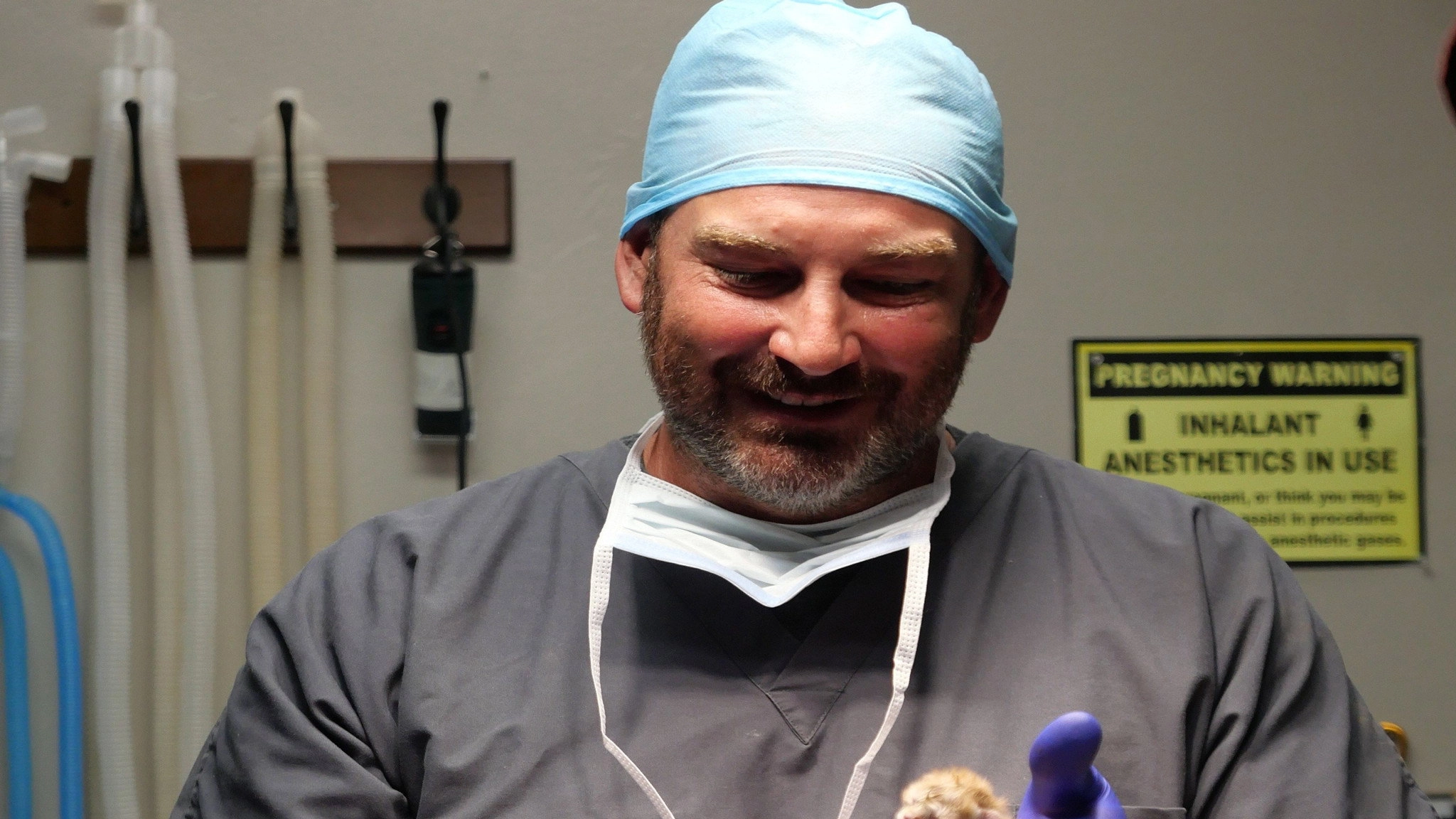 Heartland Docs, DVM