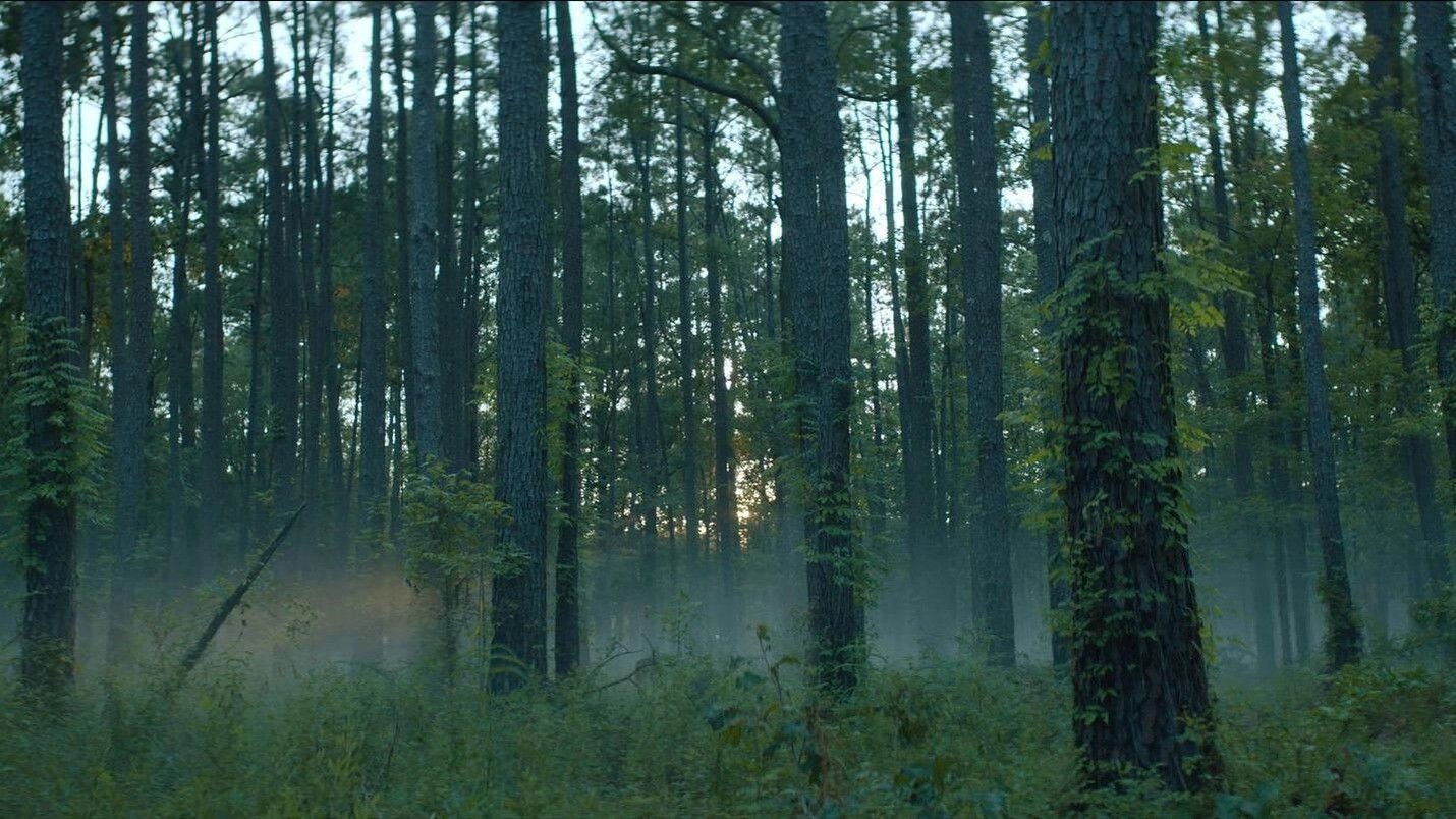 Rebel Ridge