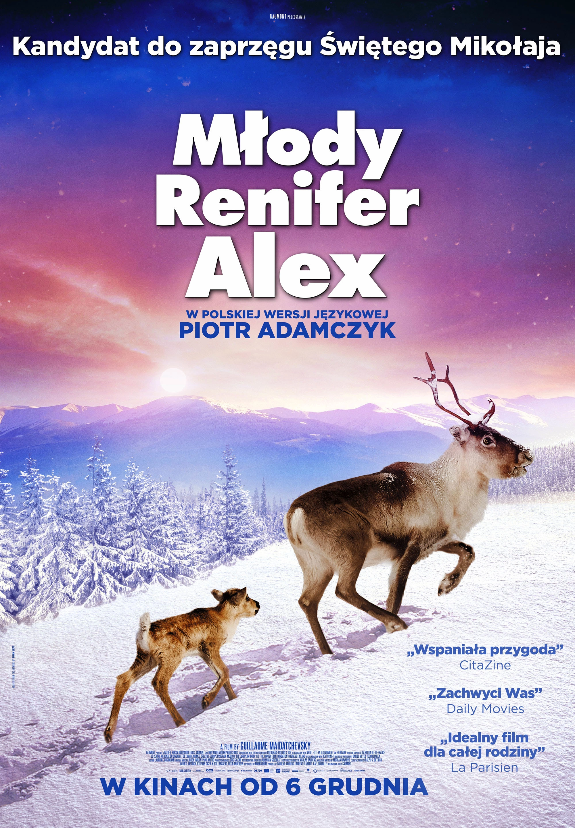 A Reindeer's Journey