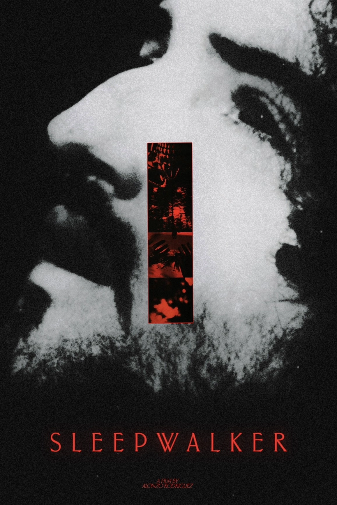 Sleepwalker