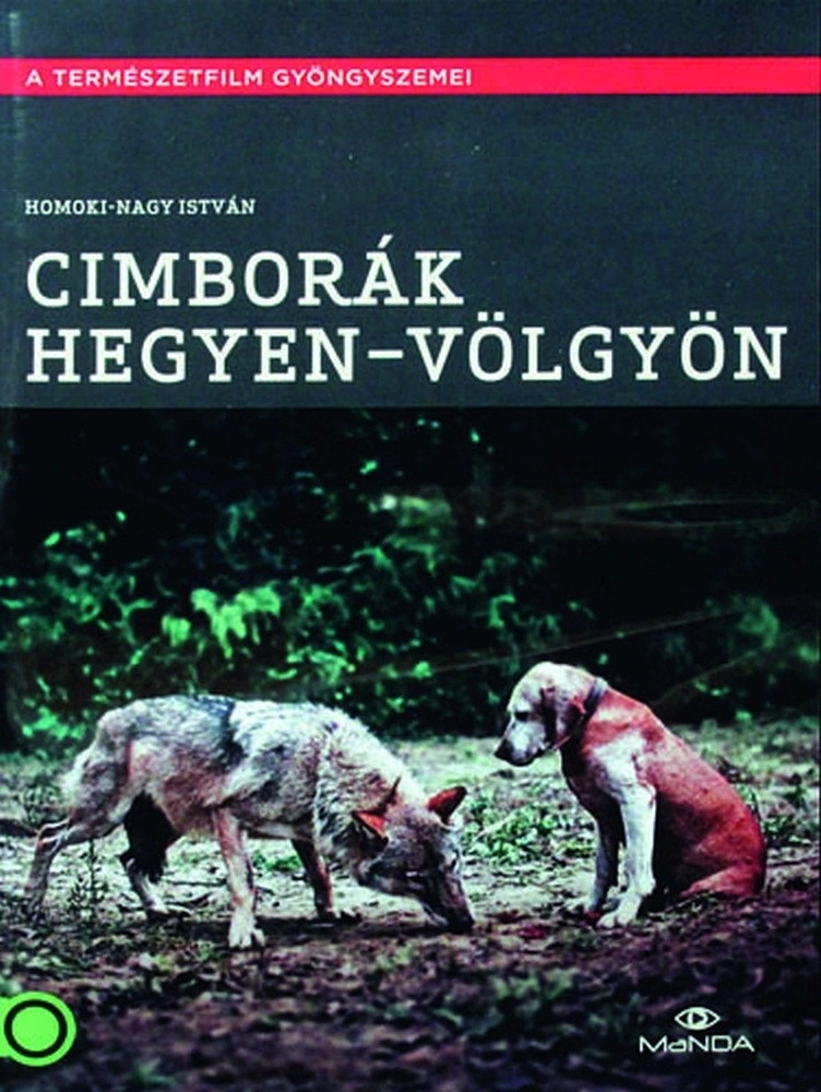 Maigret's Dead Man