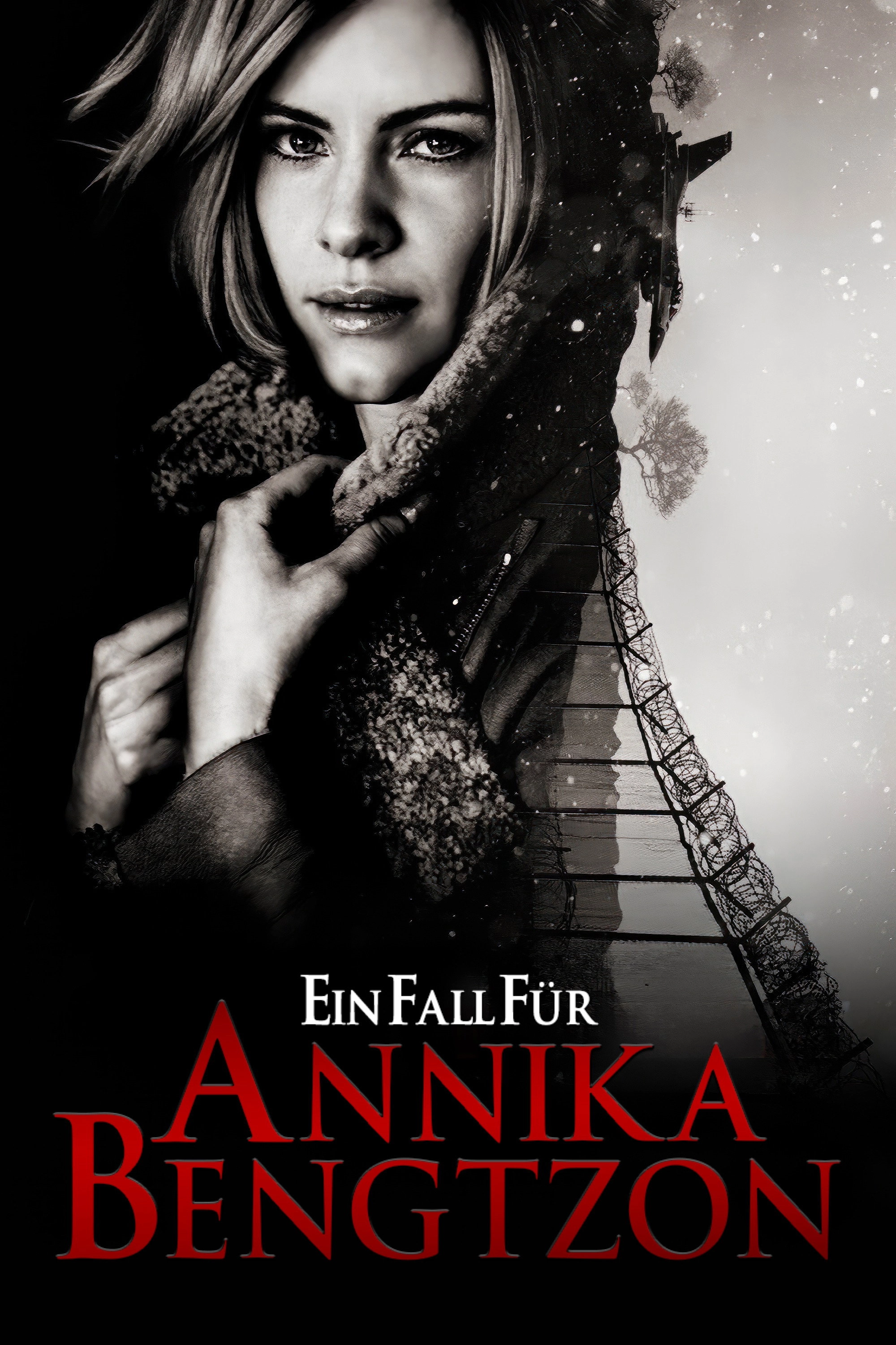 Annika Bengtzon: Crime Reporter