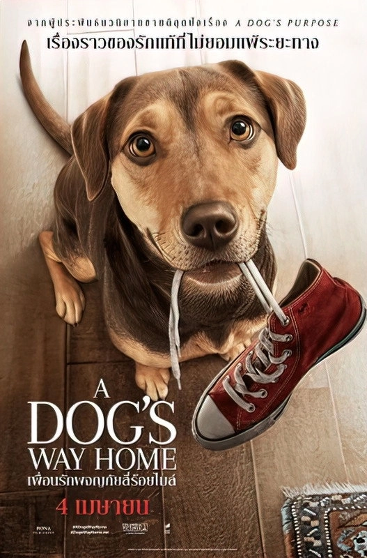 A Dog's Way Home