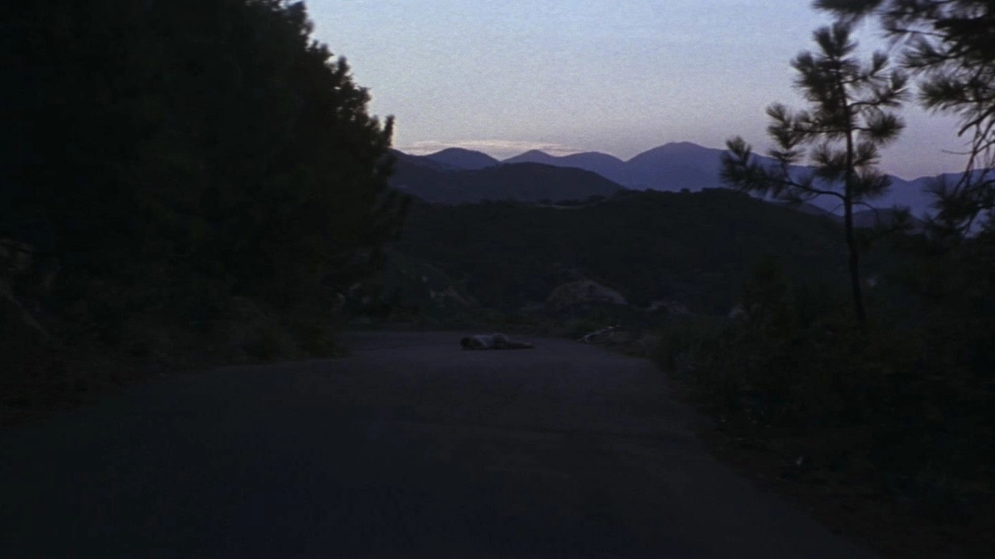 Donnie Darko