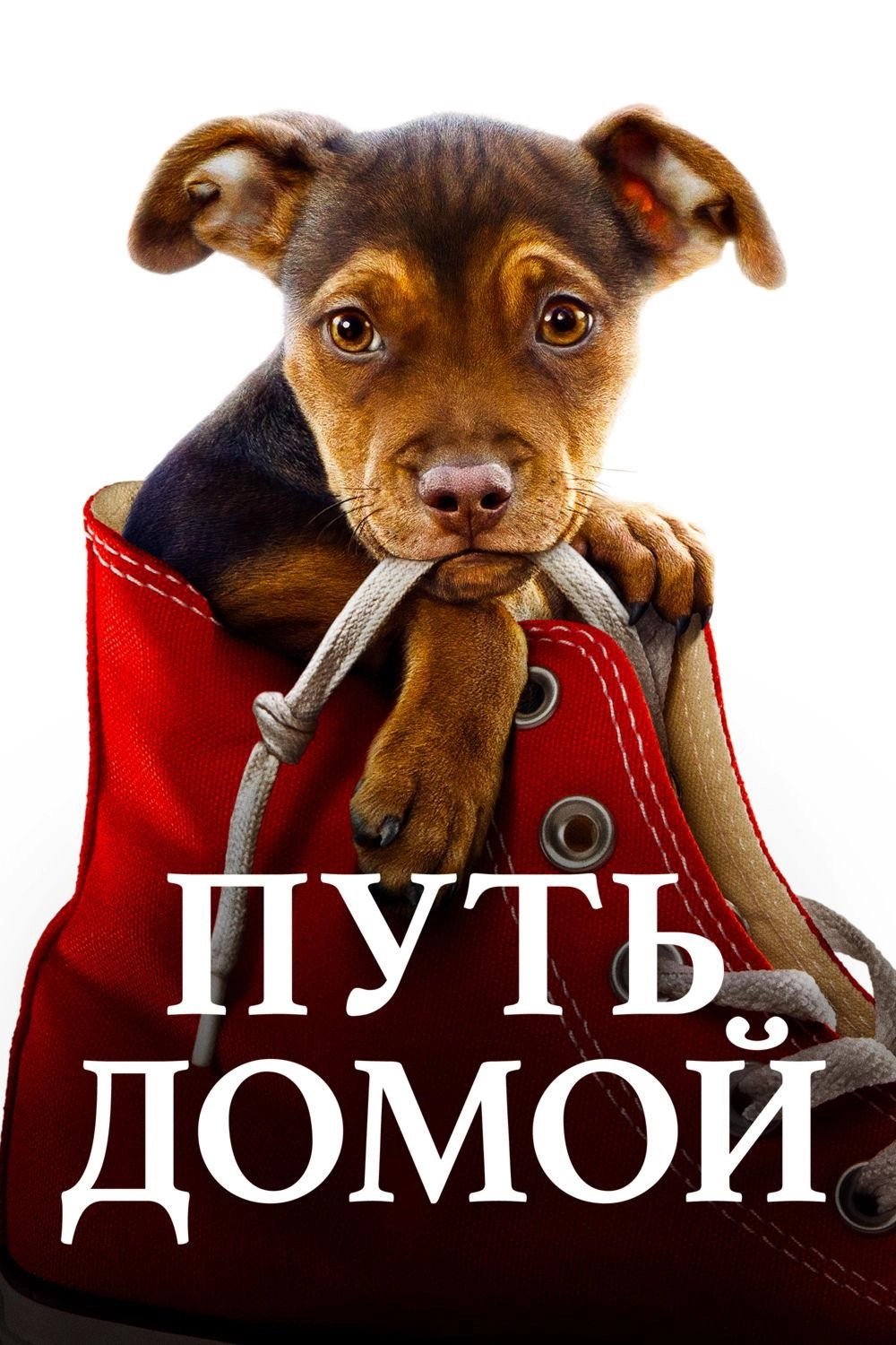 A Dog's Way Home