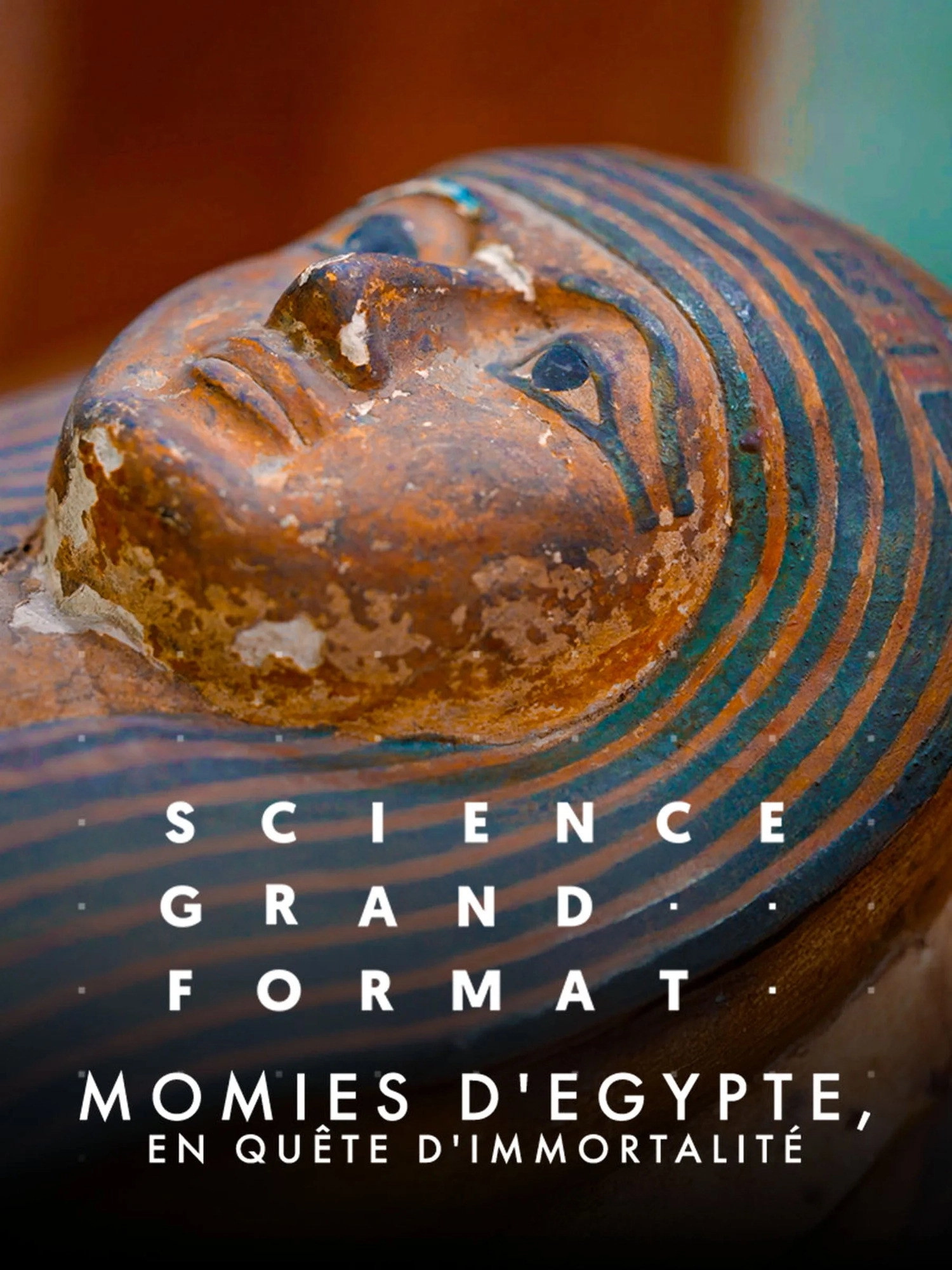 Momies d'Égypte, en quête d'immortalité