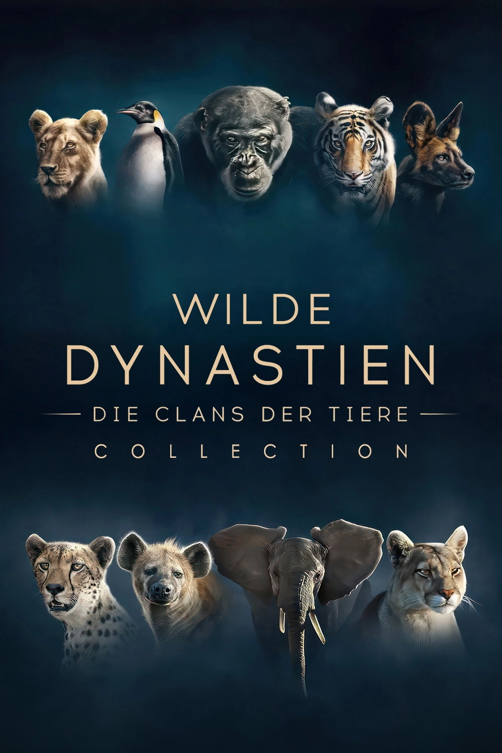 Dynasties