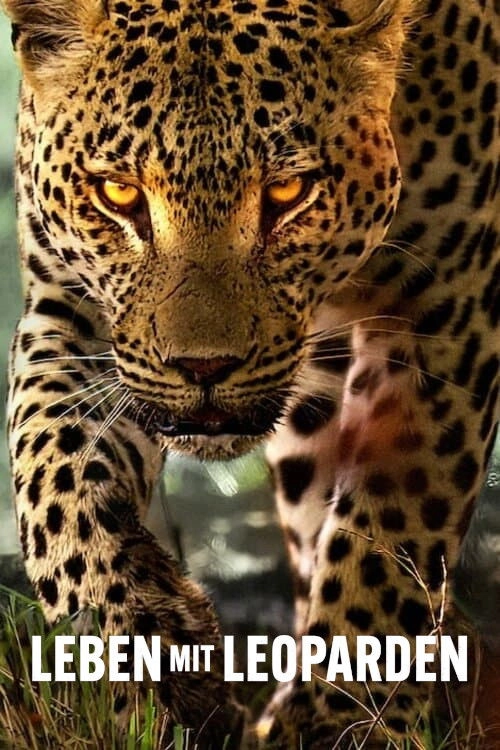 Living with Leopards