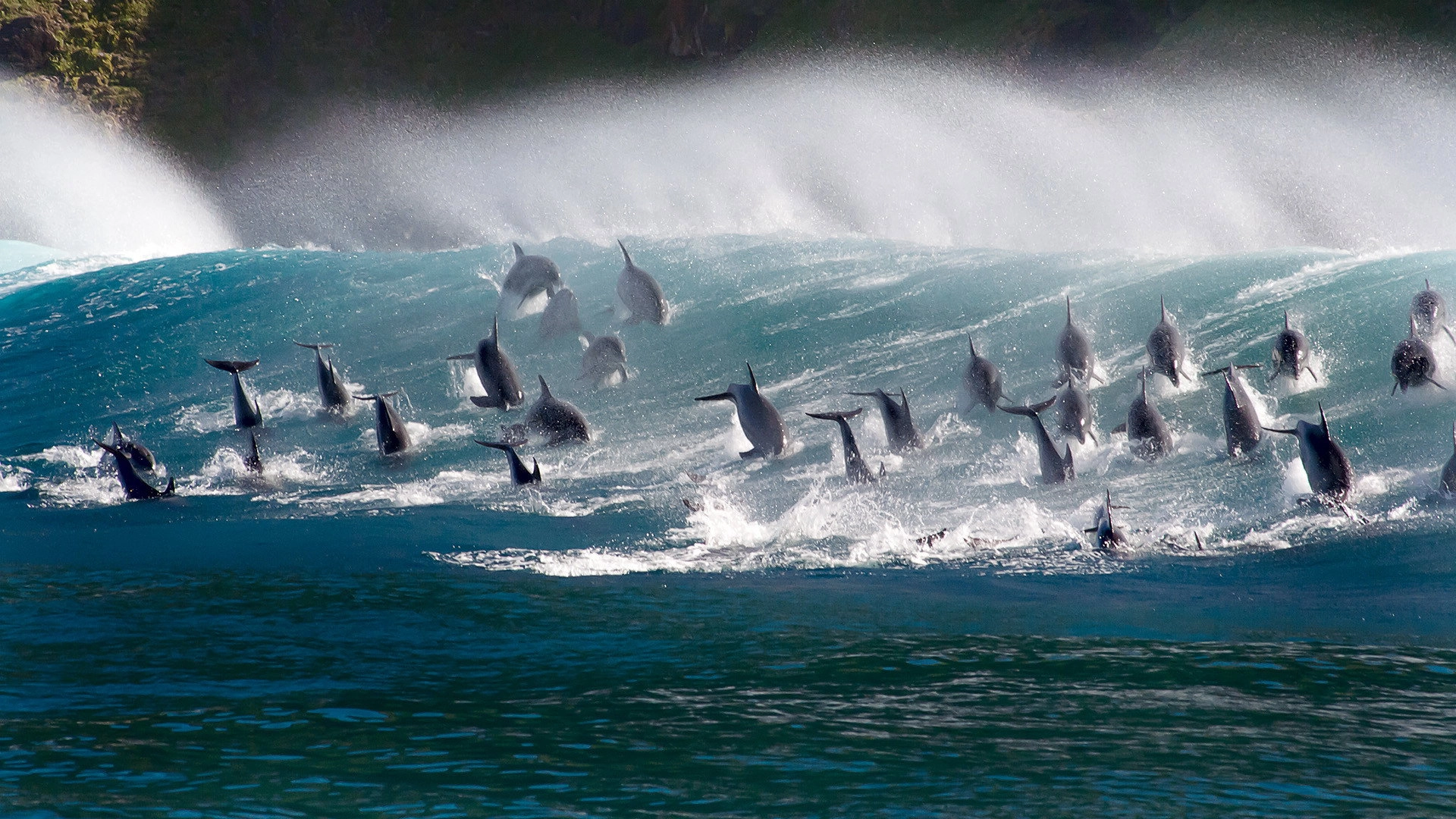 Blue Planet II