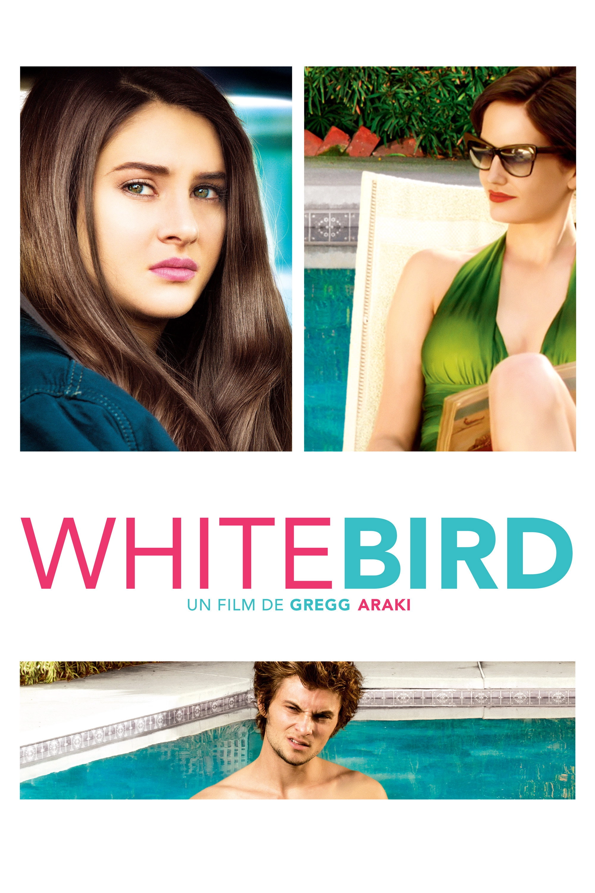 White Bird in a Blizzard