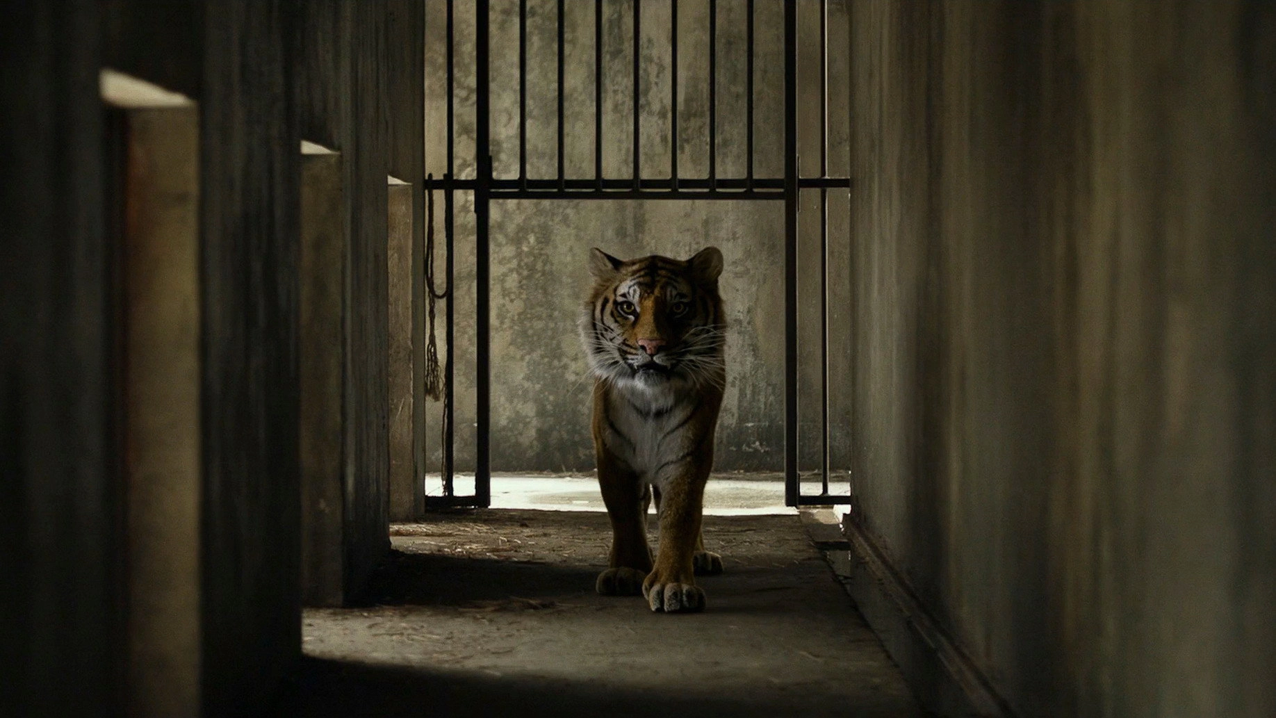 Life of Pi