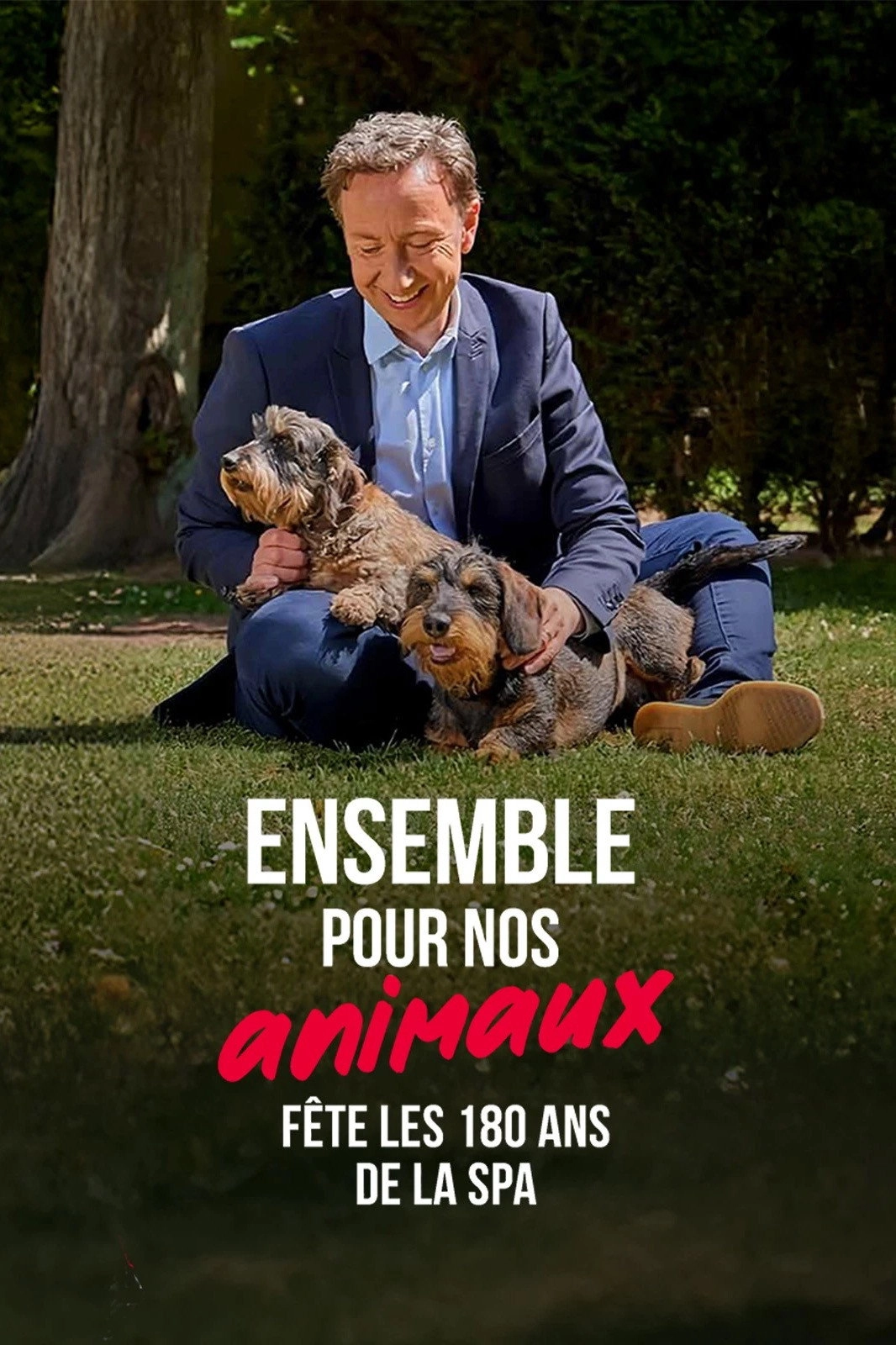 Ensemble pour nos animaux - fête les 180 ans de la SPA