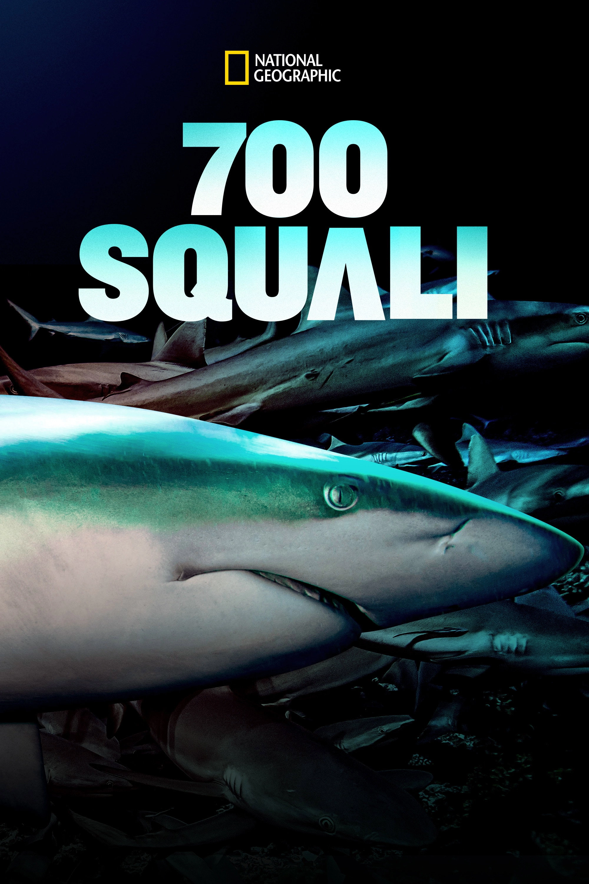 700 Sharks