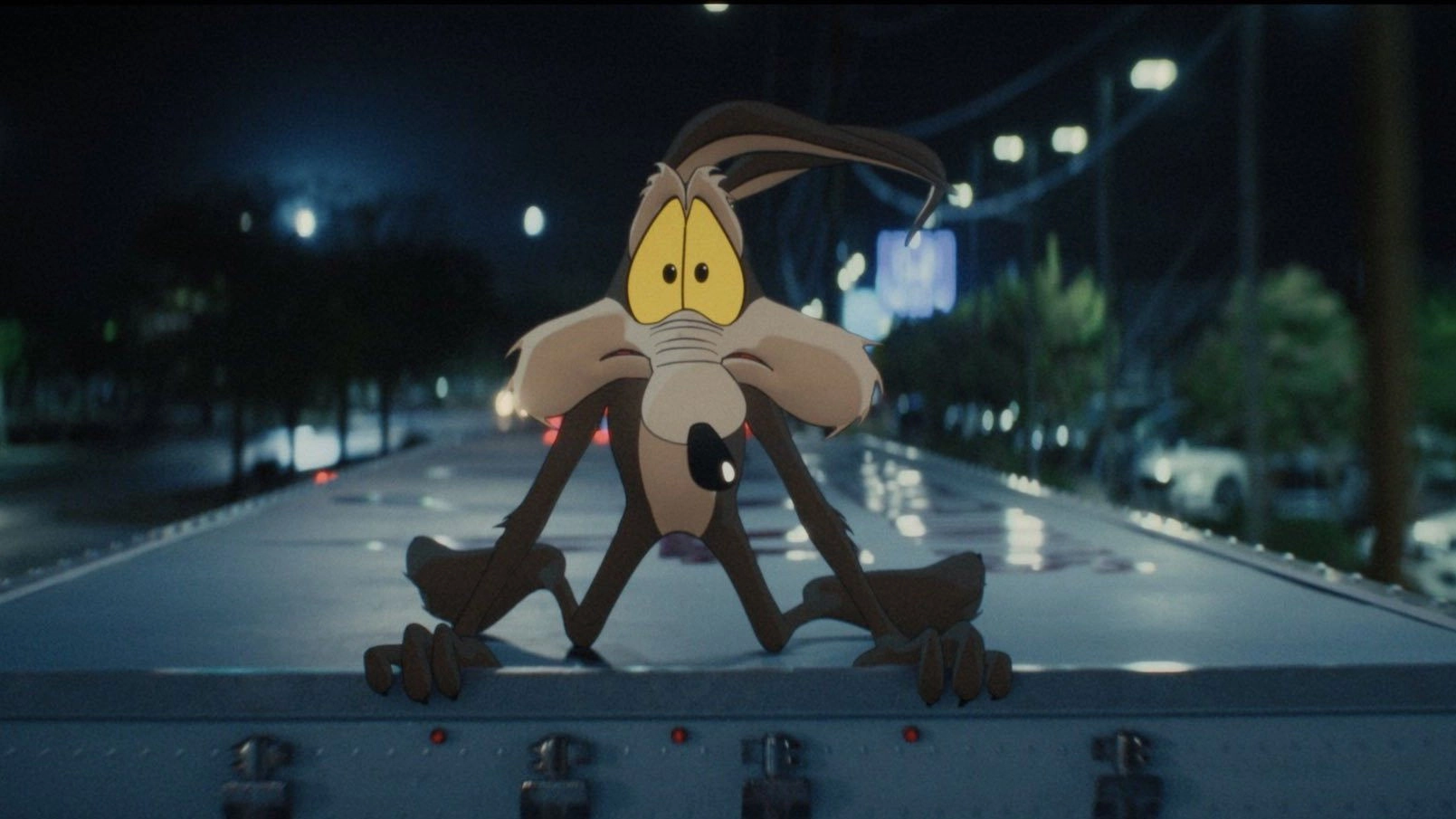 Coyote vs ACME