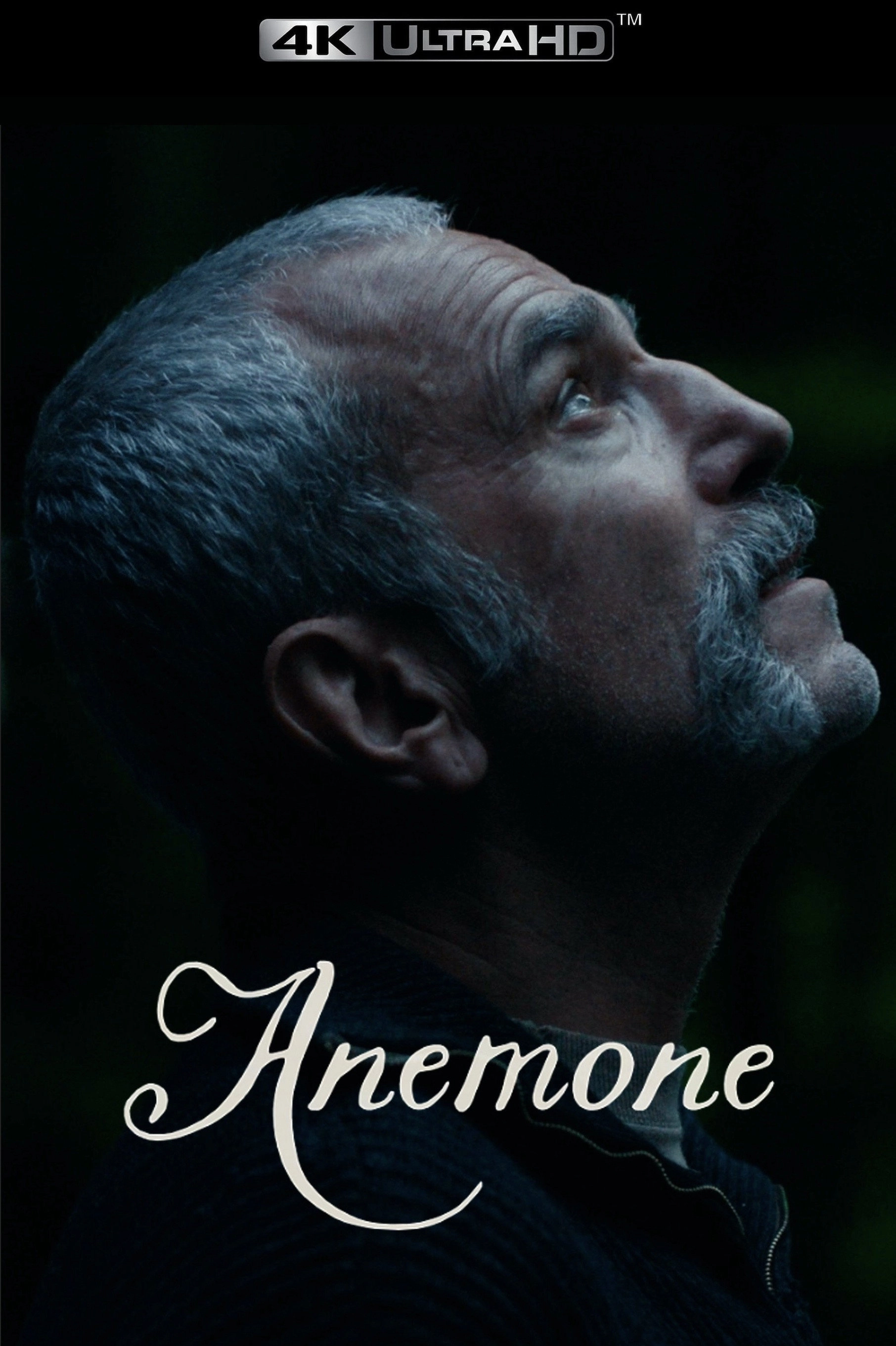 Anemone