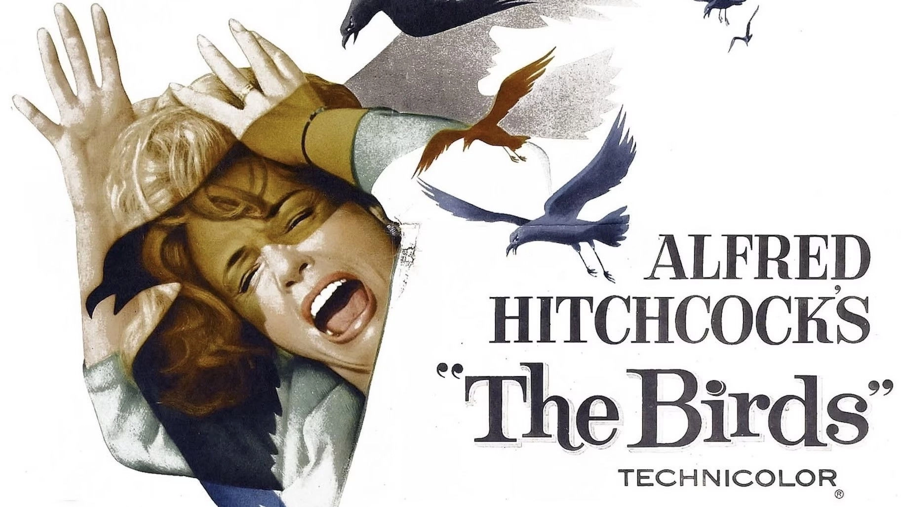 The Birds
