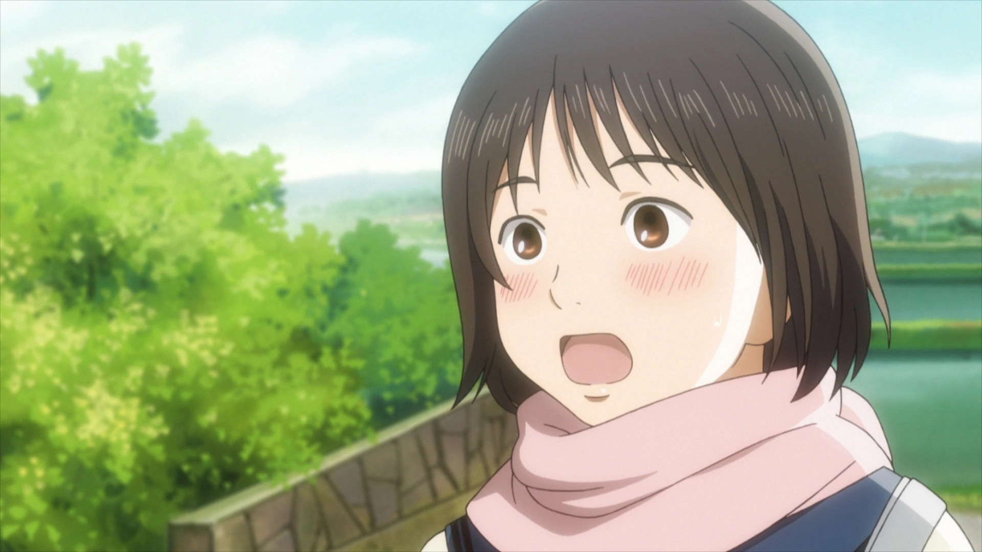 Chihayafuru