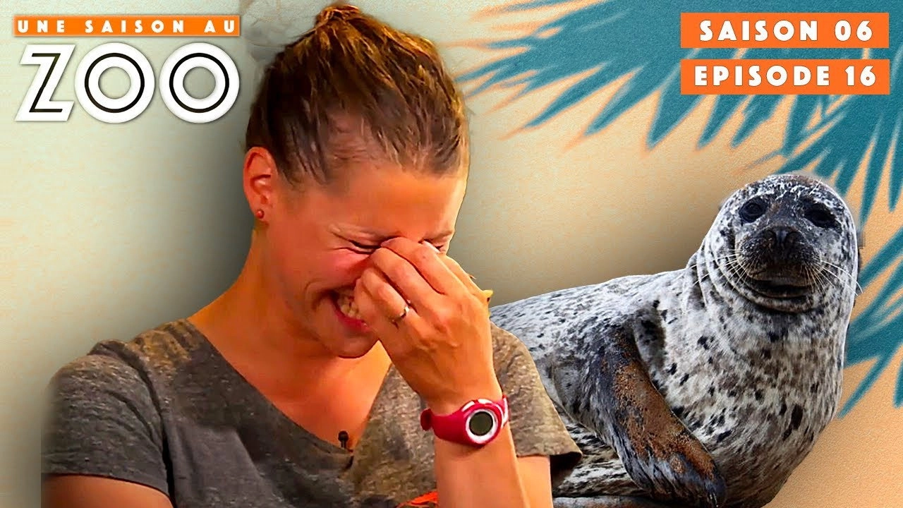 Une saison au zoo