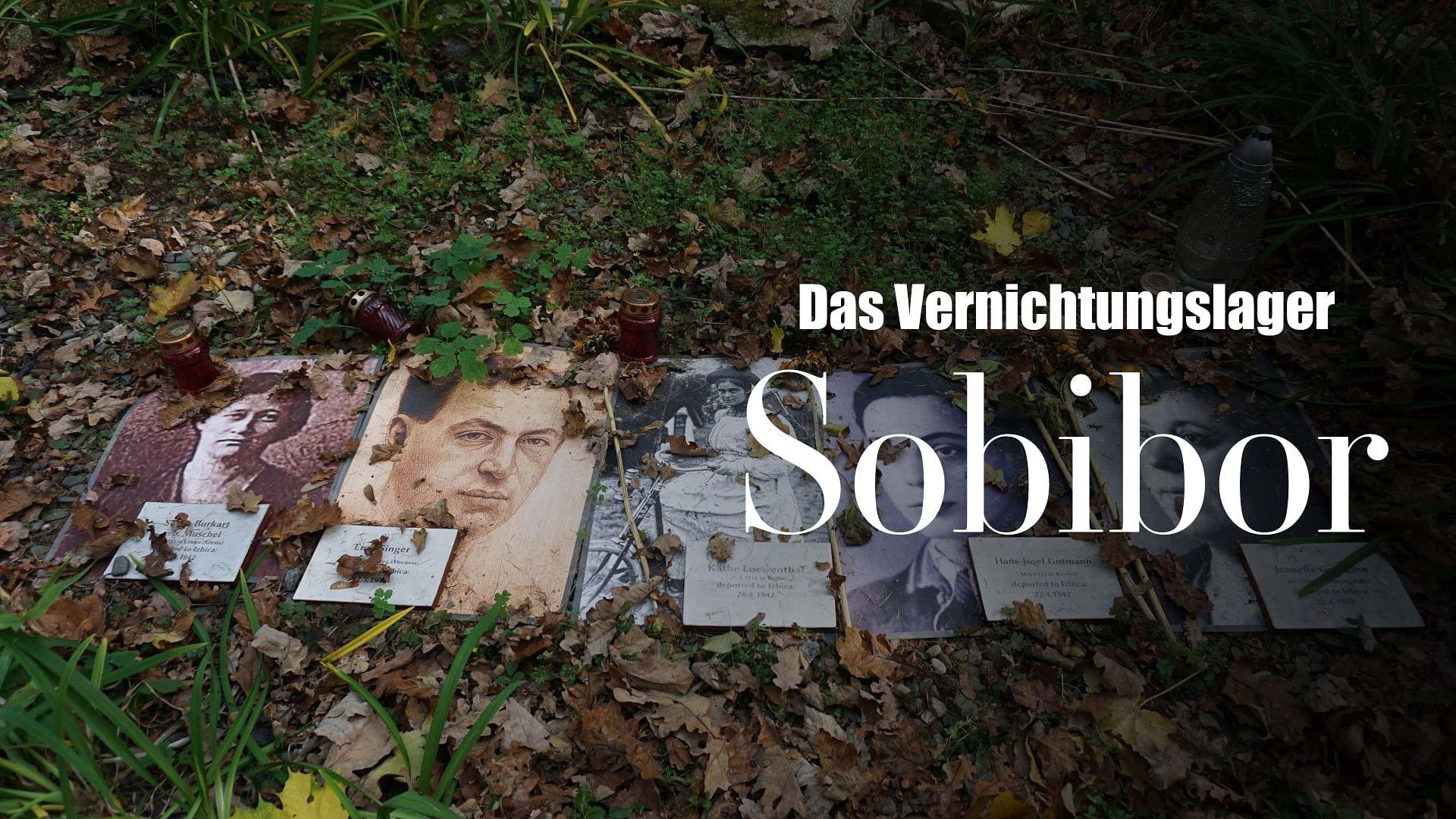 Sobibór - Anatomie eines Vernichtungslagers