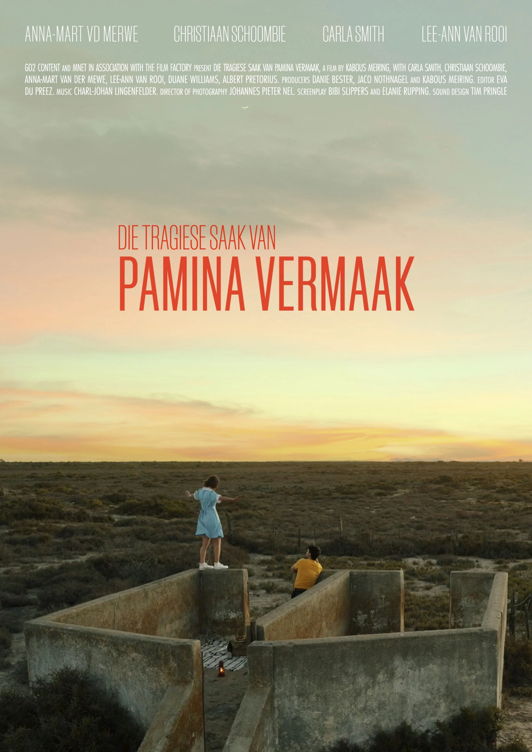 Die Tragiese Saak van Pamina Vermaak
