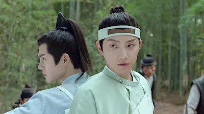 Qing Qing Zi Jin