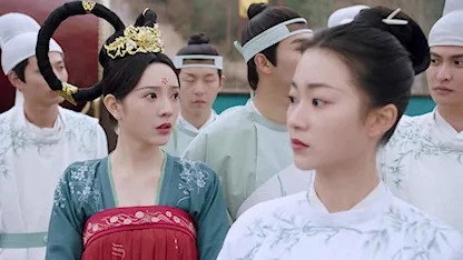 Qing Qing Zi Jin