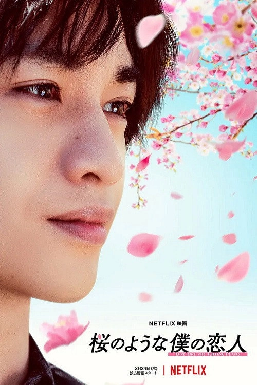 Love Like the Falling Petals