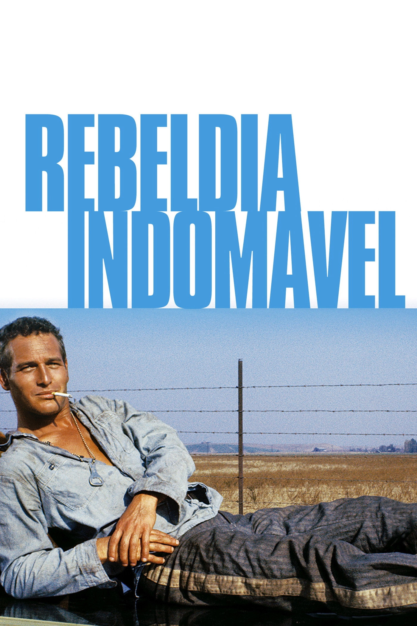 Cool Hand Luke