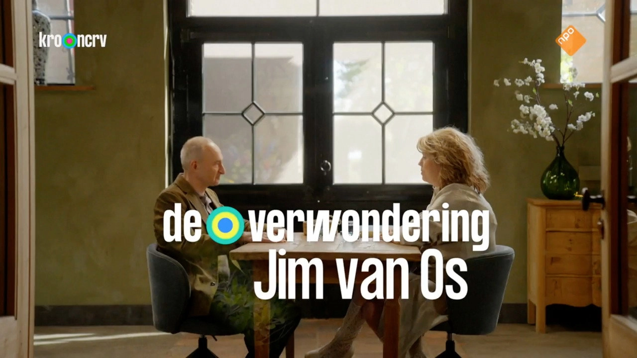 De Verwondering