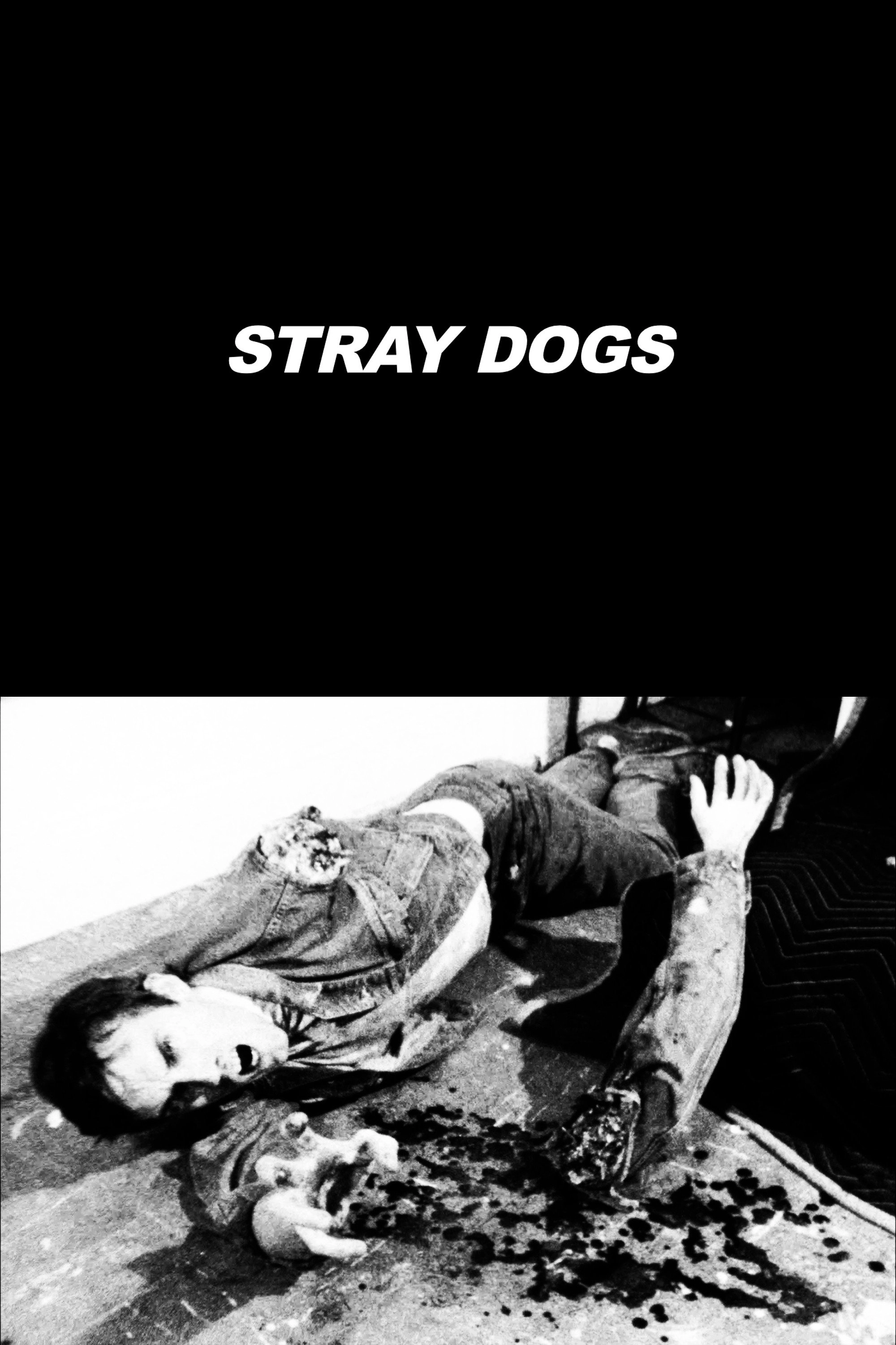 Stray Dogs