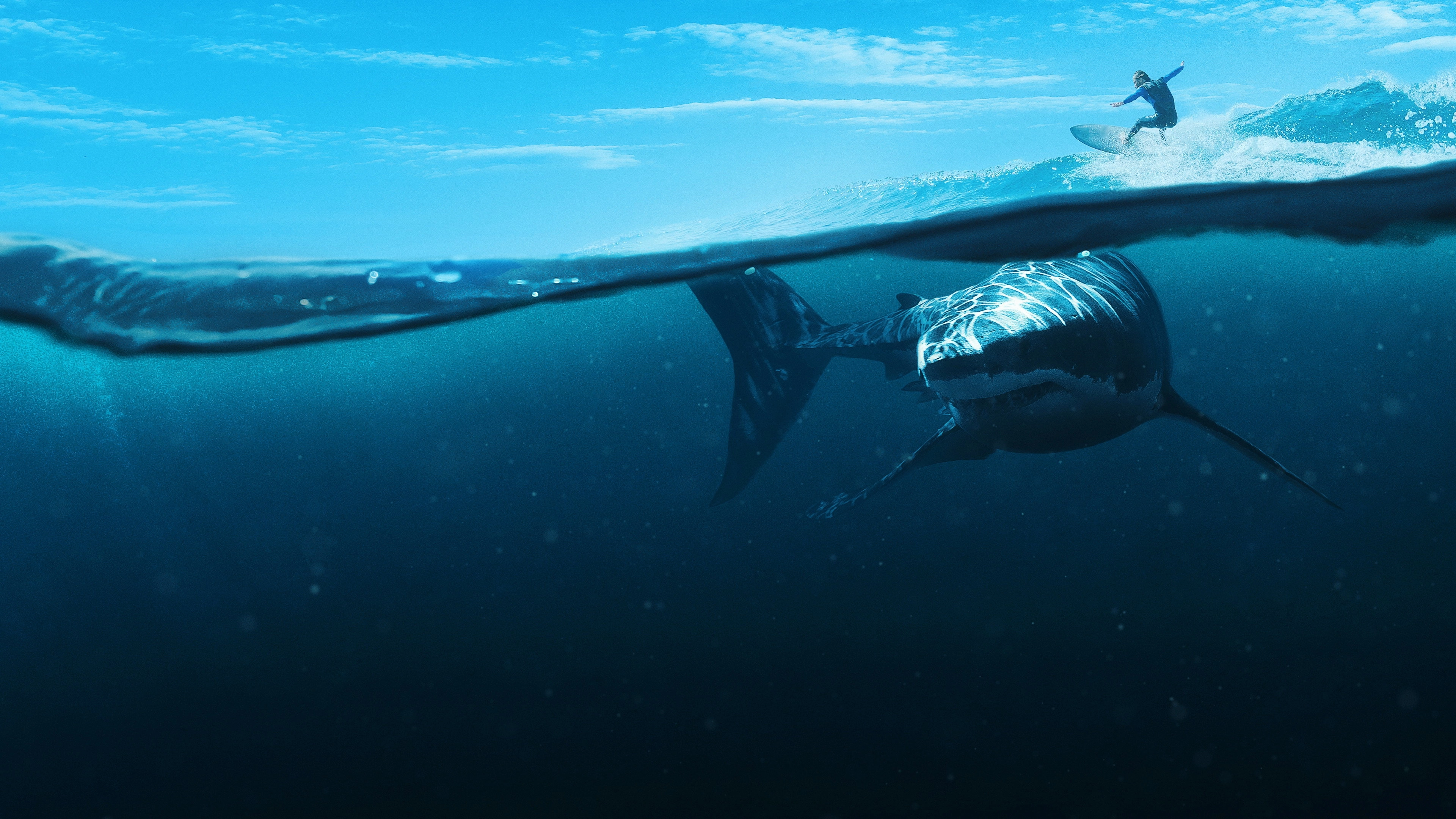When Sharks Attack 360