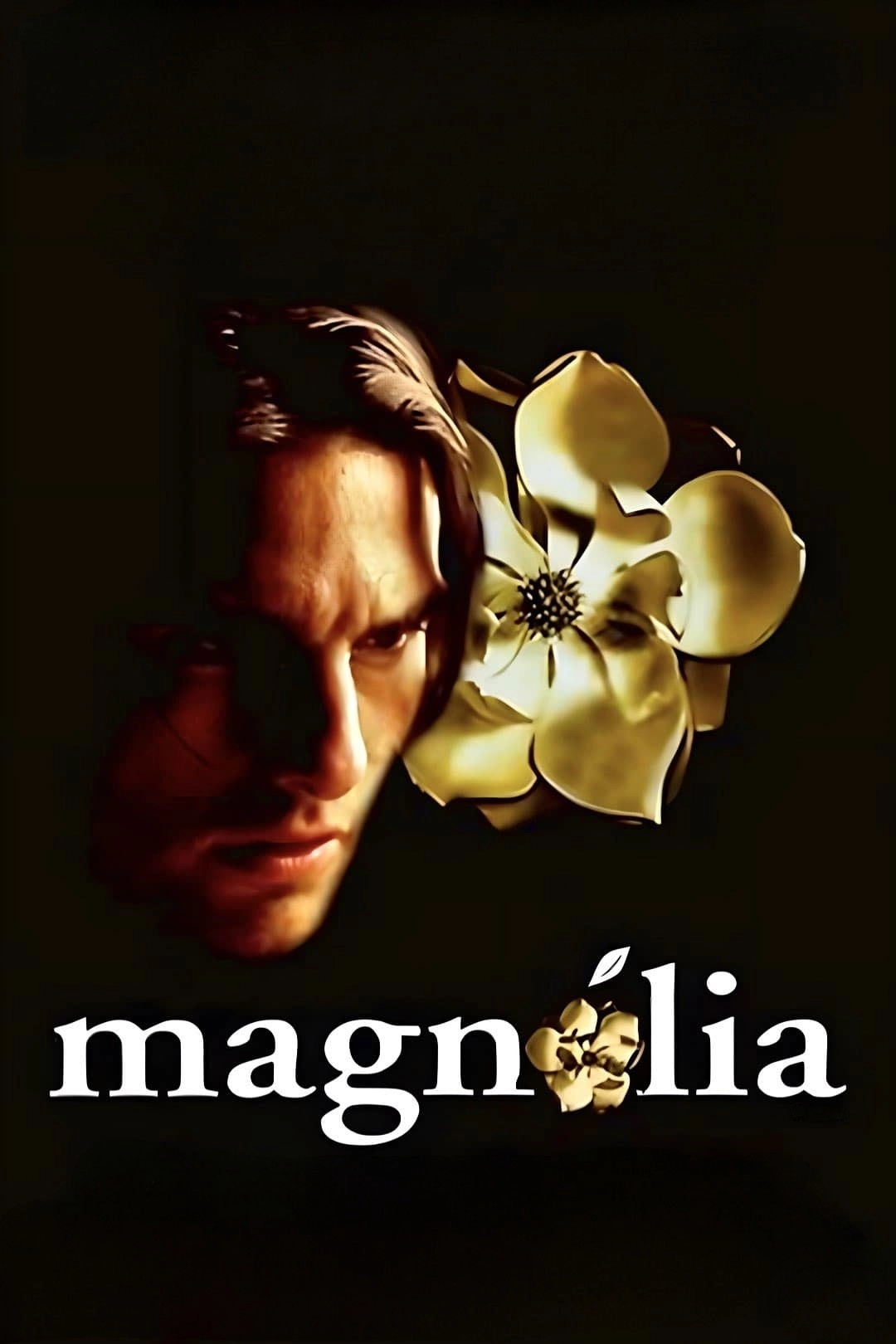 Magnolia
