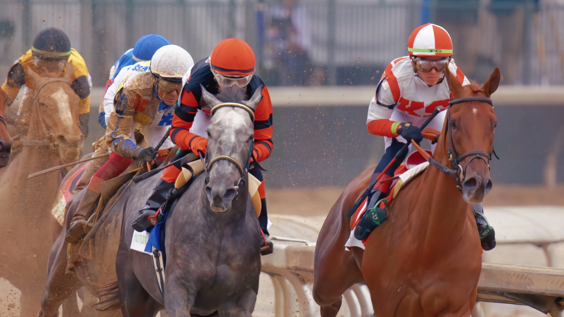 Race for the Crown