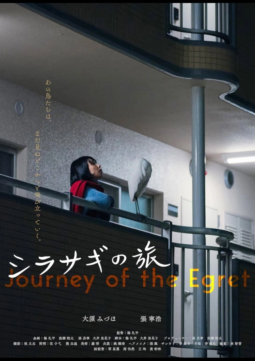 Journey of the Egret