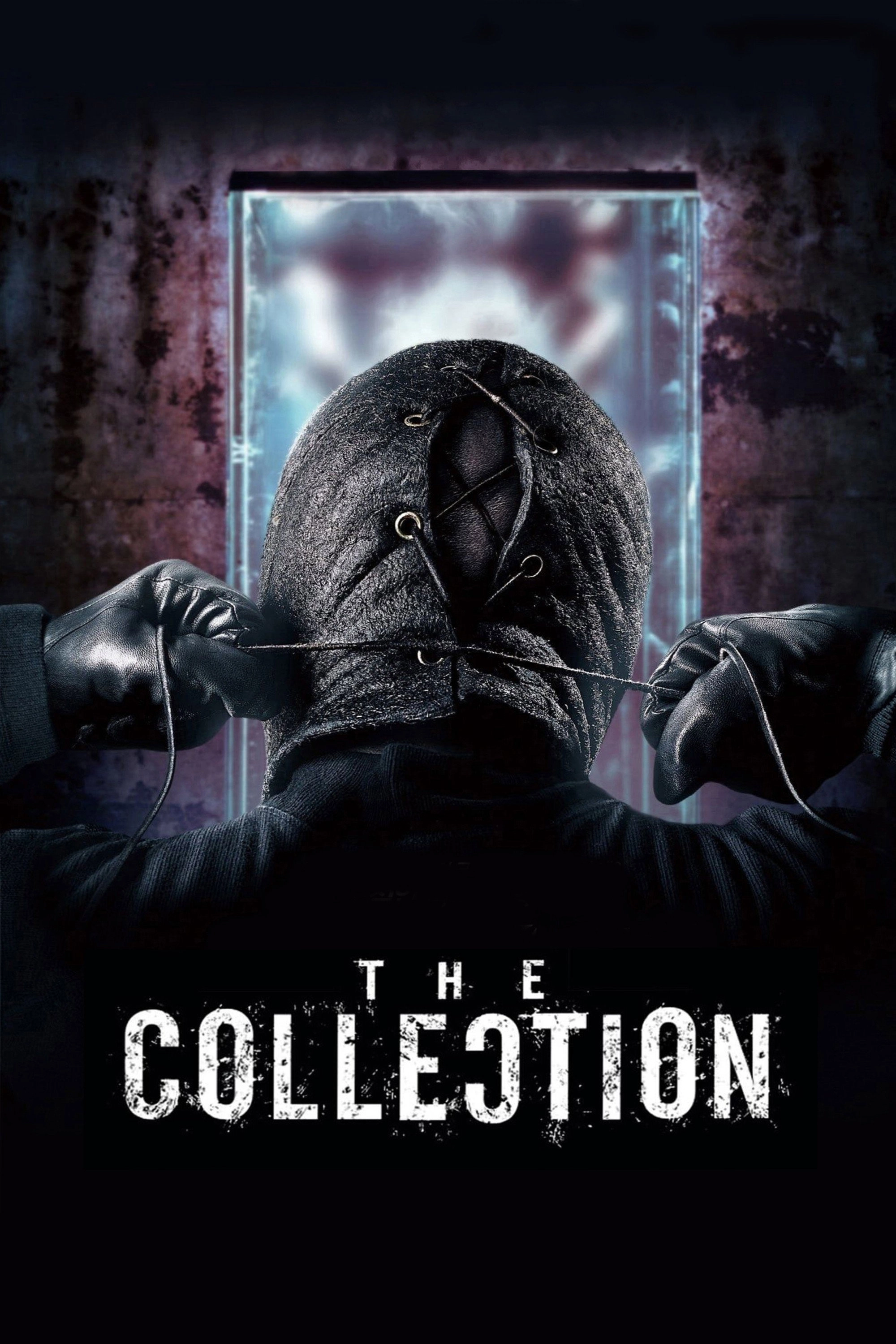 The Collection