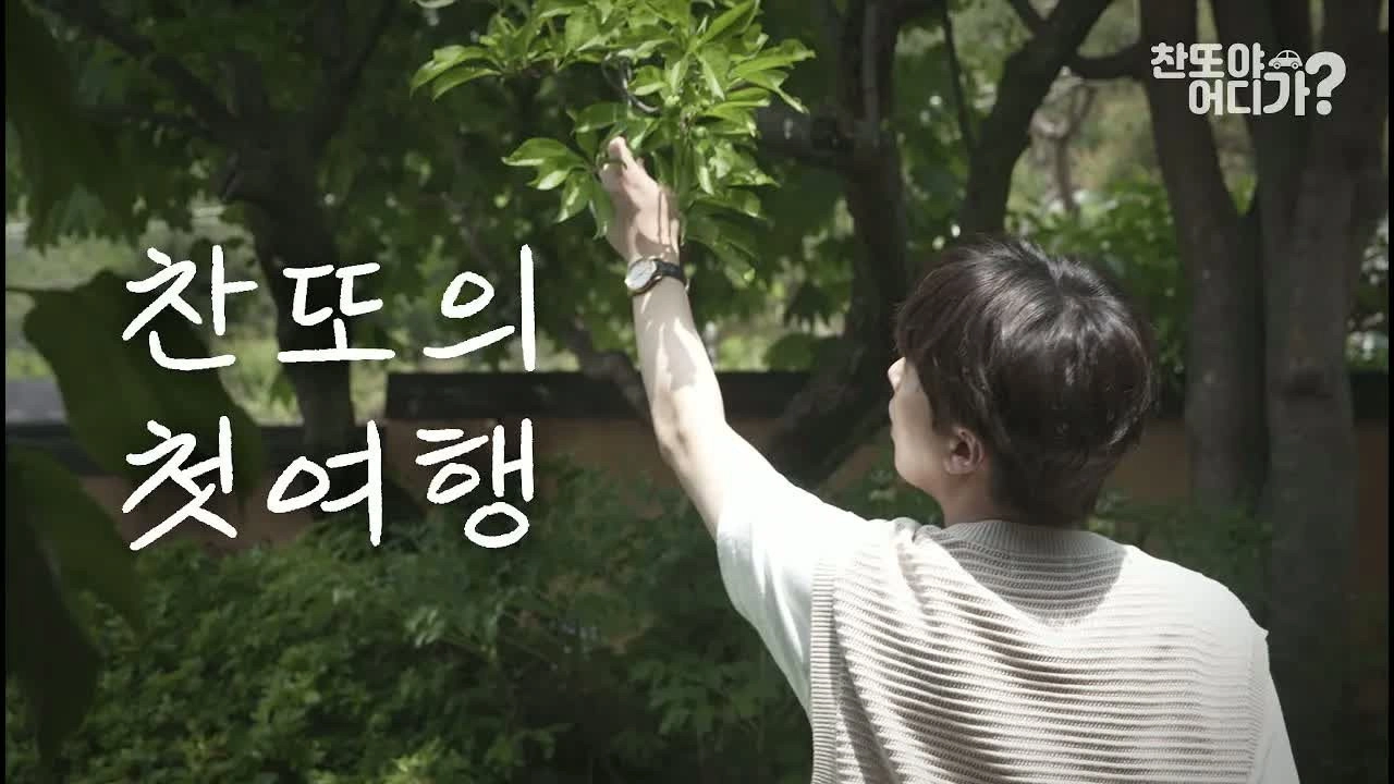 찬또야 어디가?