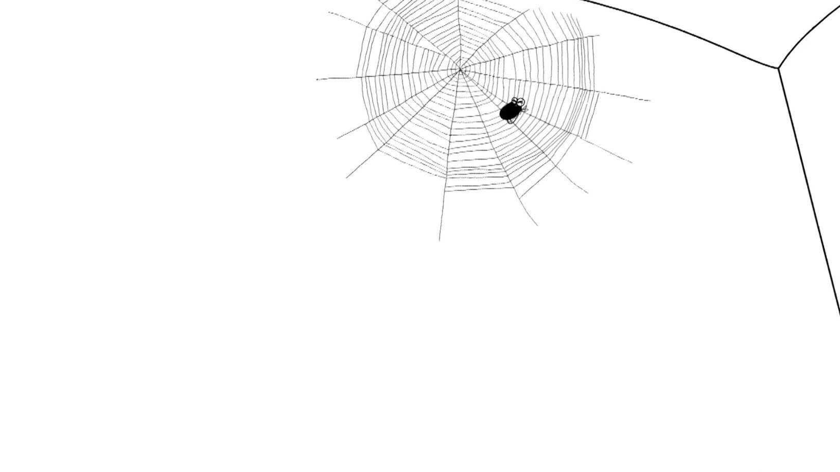 Spider Web
